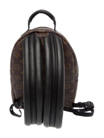 Louis Vuitton Monogram Palm Springs PM