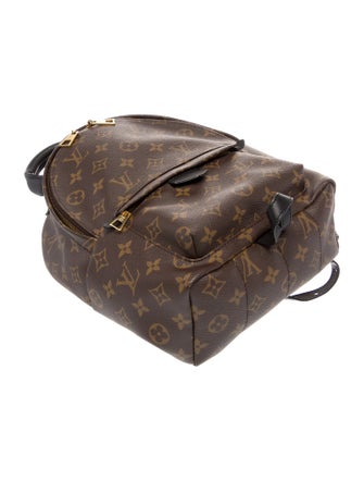 Louis Vuitton Monogram Palm Springs PM