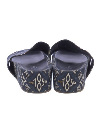 Louis Vuitton Canvas Printed Slides