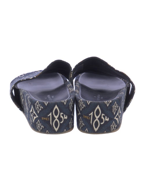 Louis Vuitton Canvas Printed Slides