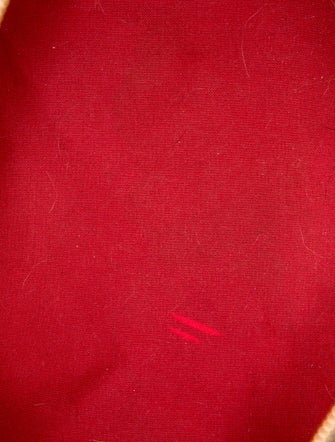 Louis Vuitton Damier Ebene Speedy 30