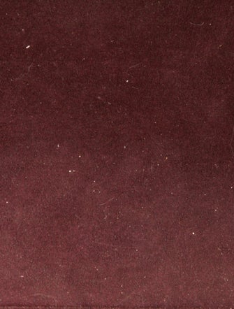 Louis Vuitton LV Monogram Mizi Vienna