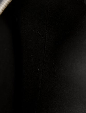 Louis Vuitton LV Monogram Speedy Cargo Vibe