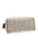Louis Vuitton Monogram Mini Lin Josephine