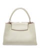 Louis Vuitton Taurillon Leather Capucines MM