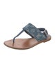 Louis Vuitton LV Monogram Denim Slingback Sandals