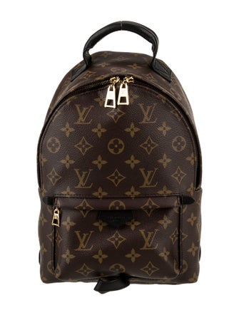 Louis Vuitton LV Monogram Palm Springs PM