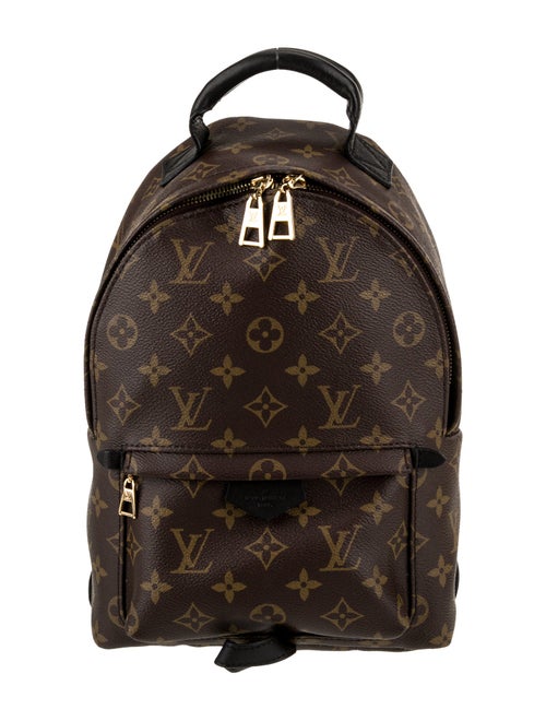 Louis Vuitton LV Monogram Palm Springs PM