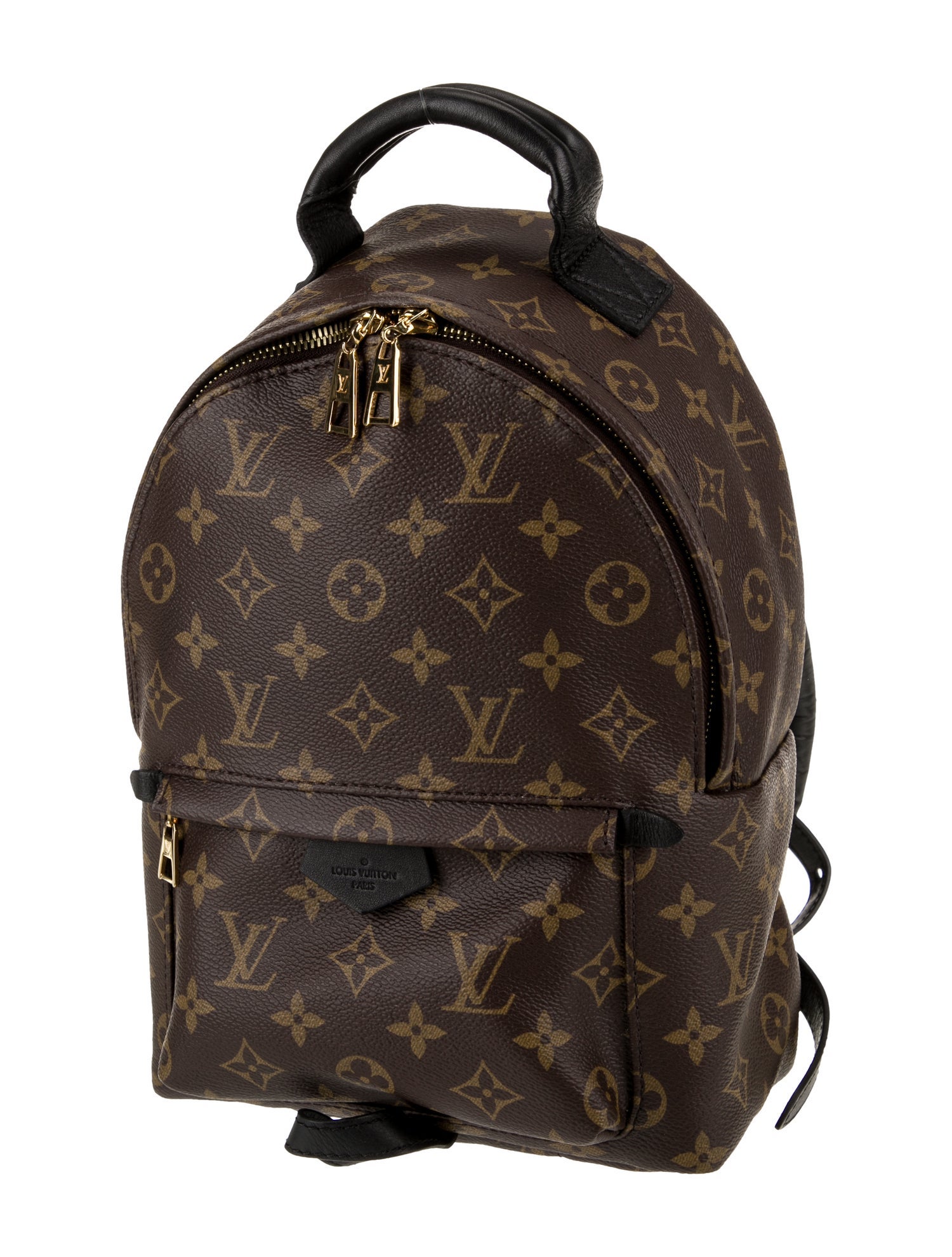 Louis Vuitton LV Monogram Palm Springs PM