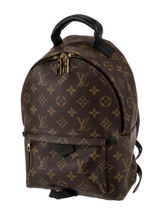 Louis Vuitton LV Monogram Palm Springs PM