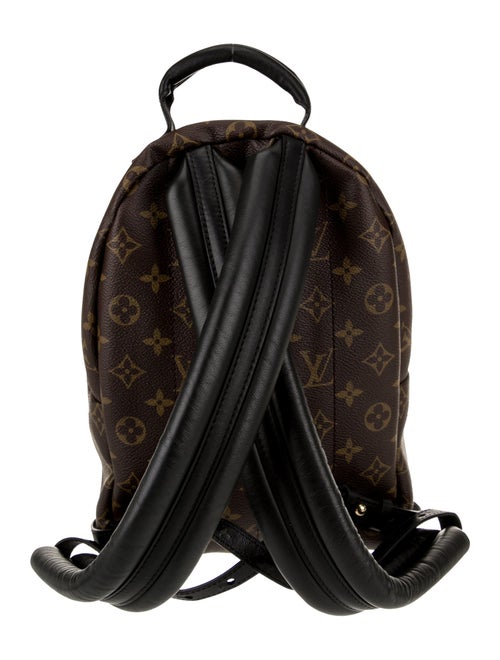 Louis Vuitton LV Monogram Palm Springs PM