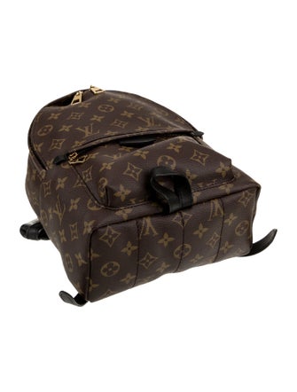 Louis Vuitton LV Monogram Palm Springs PM