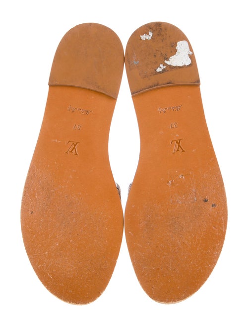 Louis Vuitton LV Monogram Slides