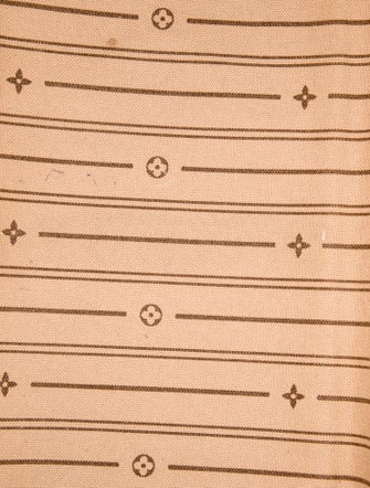 Louis Vuitton LV Monogram Delightful PM