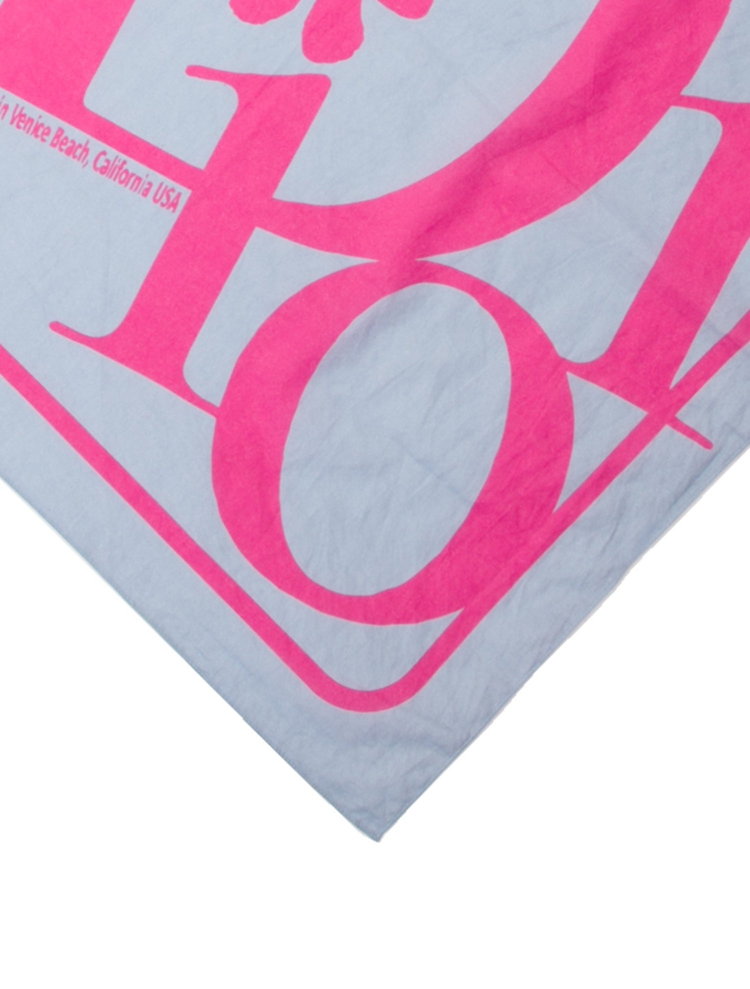 Christian Dior Printed Bandana