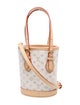Louis Vuitton LV Monogram Bucket Nano 2024
