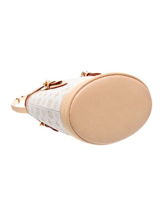 Louis Vuitton LV Monogram Bucket Nano 2024