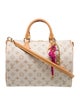 Louis Vuitton Monogram Giant Lucky Speedy Soft 30 2025