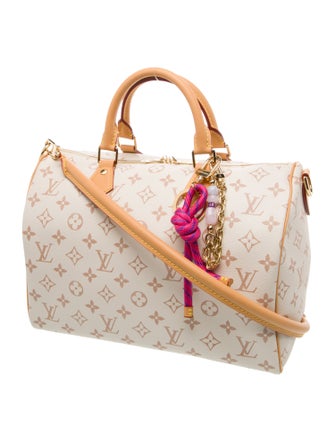 Louis Vuitton Monogram Giant Lucky Speedy Soft 30 2025