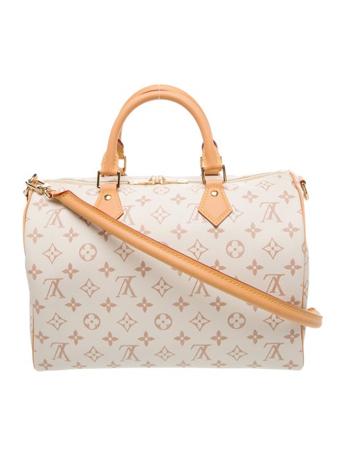 Louis Vuitton Monogram Giant Lucky Speedy Soft 30 2025