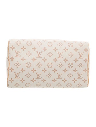 Louis Vuitton Monogram Giant Lucky Speedy Soft 30 2025