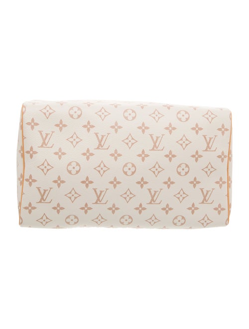 Louis Vuitton Monogram Giant Lucky Speedy Soft 30 2025