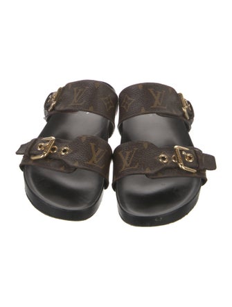 Louis Vuitton LV Monogram Slides