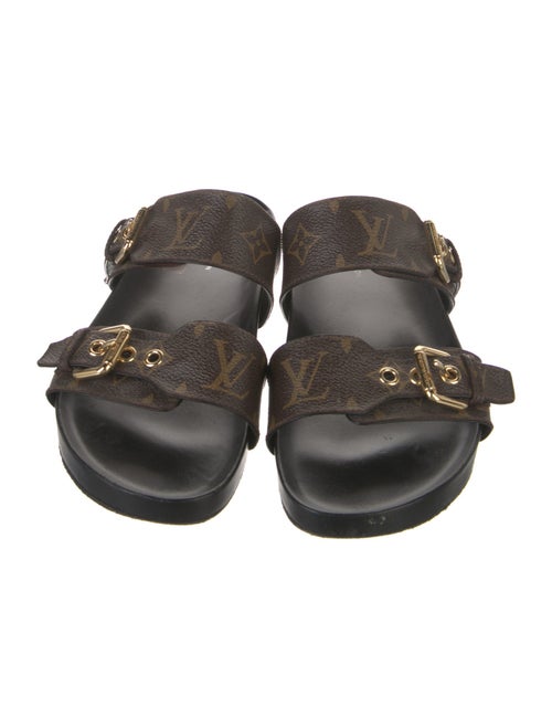 Louis Vuitton LV Monogram Slides