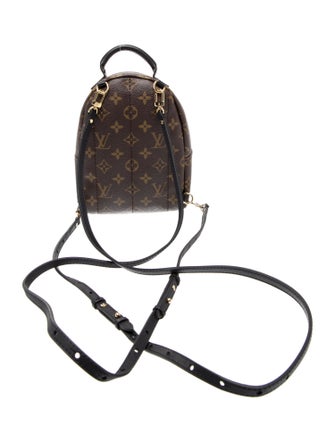 Louis Vuitton LV Monogram Montsouris Mini