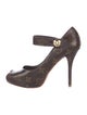 Louis Vuitton LV Monogram Pumps