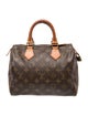 Louis Vuitton LV Monogram Speedy 25