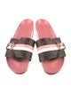 Louis Vuitton LV Monogram Slides
