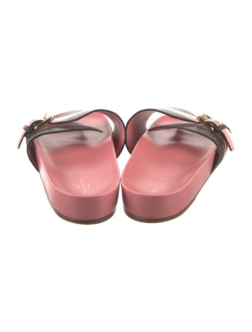 Louis Vuitton LV Monogram Slides