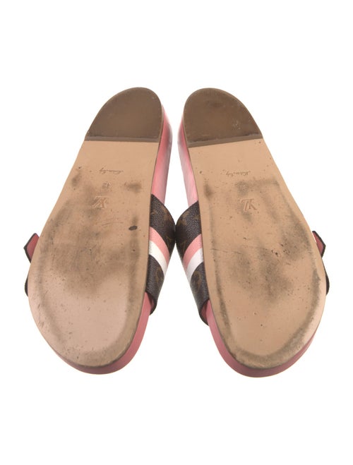Louis Vuitton LV Monogram Slides