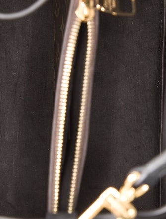 Louis Vuitton Monogram Néonoé