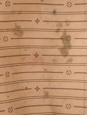 Louis Vuitton LV Monogram Delightful GM