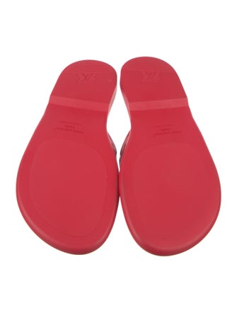 Louis Vuitton 2023 LV Monogram Slides