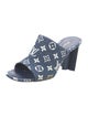 Louis Vuitton LV Monogram Denim Slides