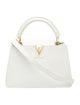 Louis Vuitton LV Monogram Capucines BB