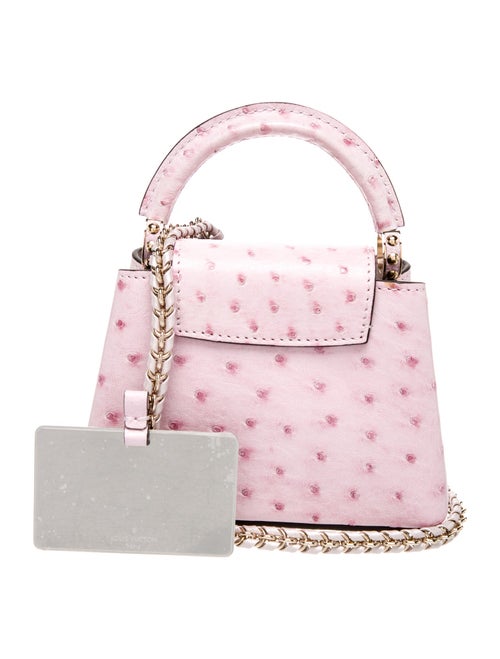 Louis Vuitton LV Monogram Capucines Mini