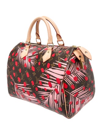 Louis Vuitton Monogram Speedy 30