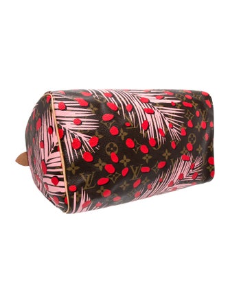 Louis Vuitton Monogram Speedy 30