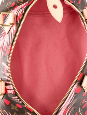 Louis Vuitton Monogram Speedy 30