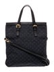 Louis Vuitton Monogram Mini Lin Mini Lin Francoise Fold Over Bag
