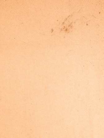 Louis Vuitton LV Monogram OnTheGo