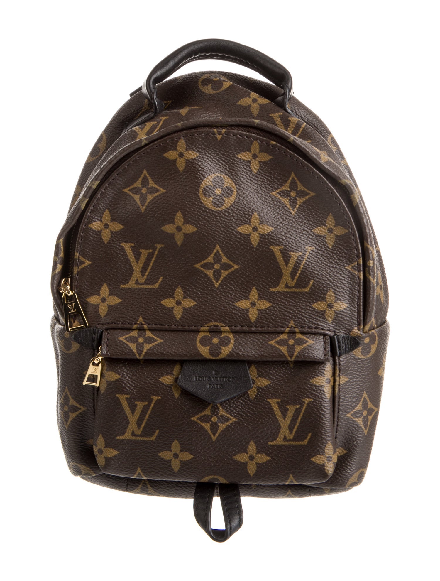 Louis Vuitton LV Monogram Palm Springs Mini