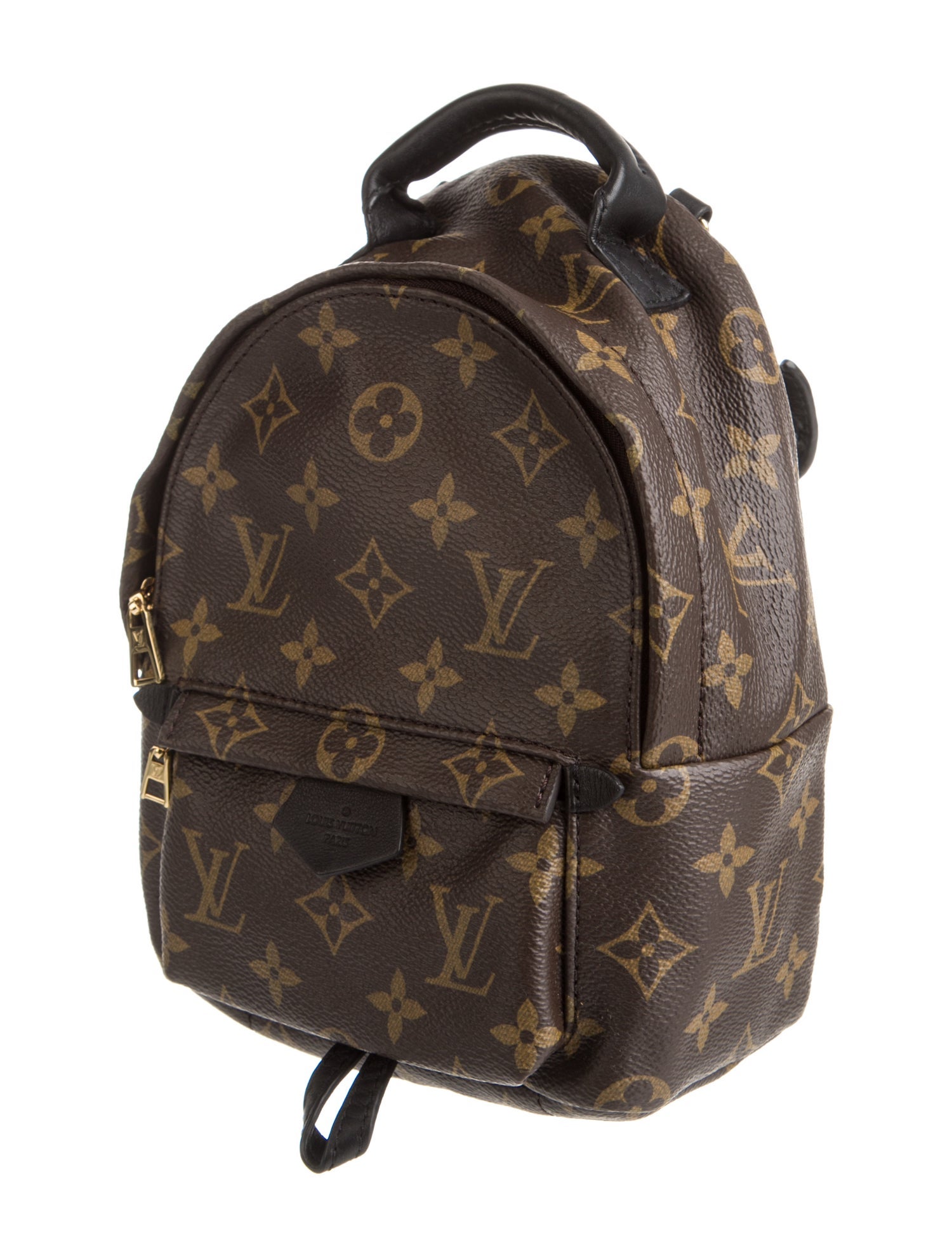 Louis Vuitton LV Monogram Palm Springs Mini