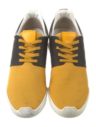 Louis Vuitton Damier Graphite Pattern Mesh Sneakers