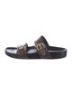 Louis Vuitton LV Monogram Slides