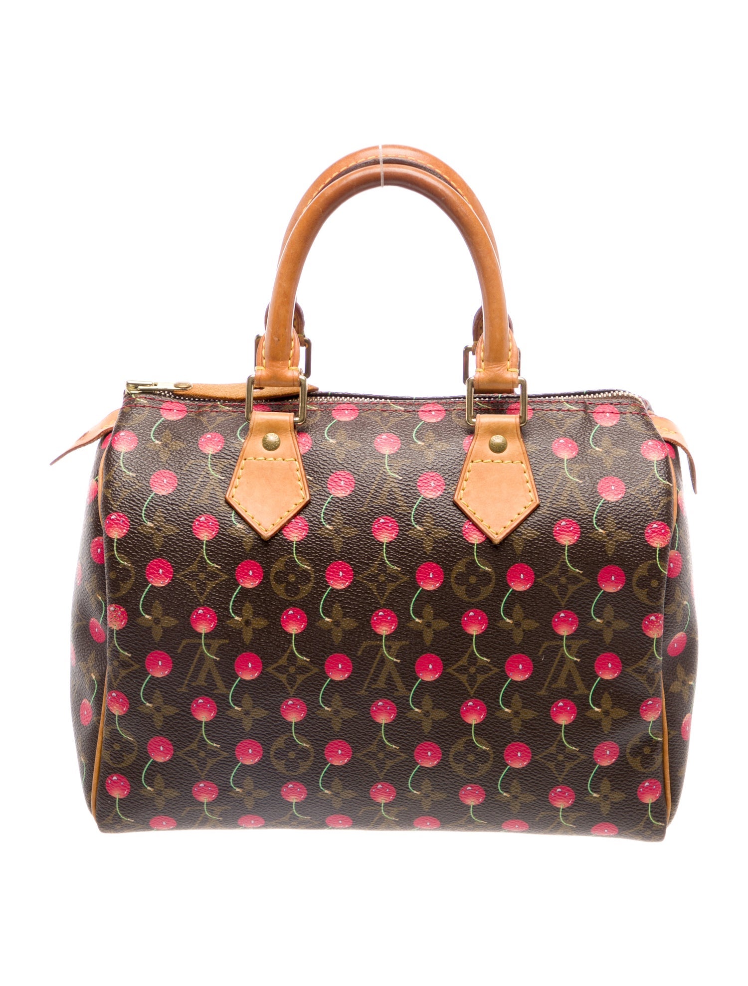 Louis Vuitton LV Monogram Speedy 25